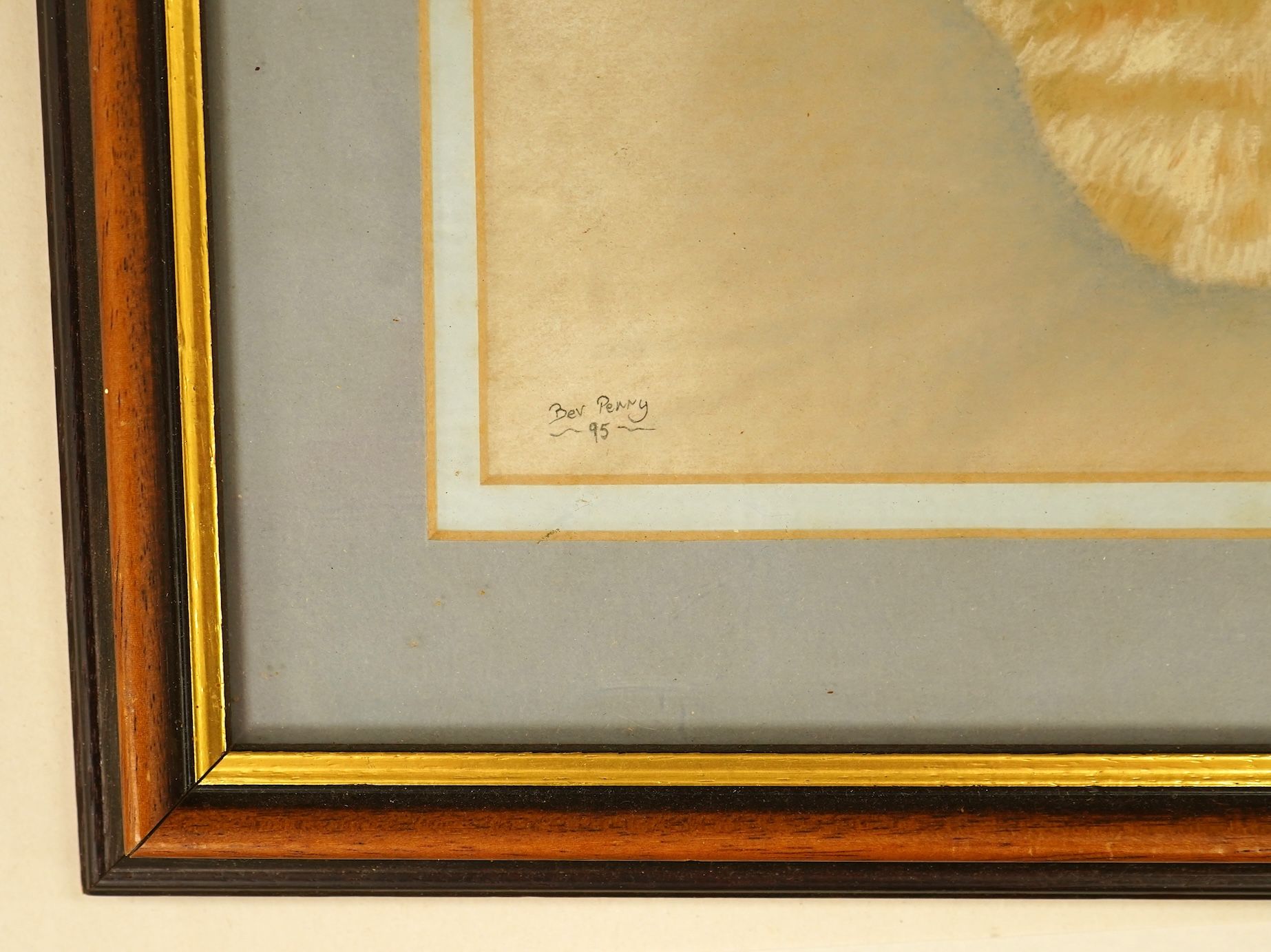 Bev Perry, Study of two cats, signed and dated '95, pastel heightened with white, 21 x 30cm